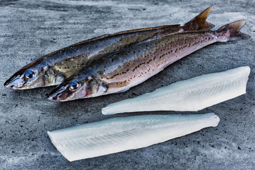 King George Whiting L