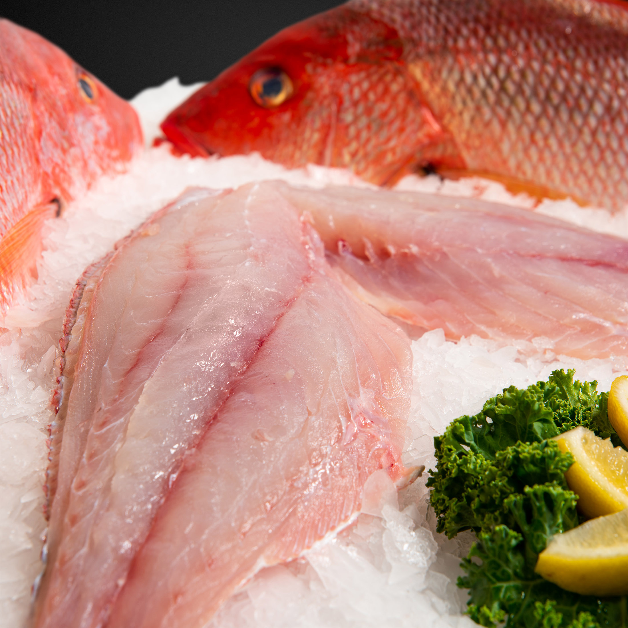 King Snapper Fillets