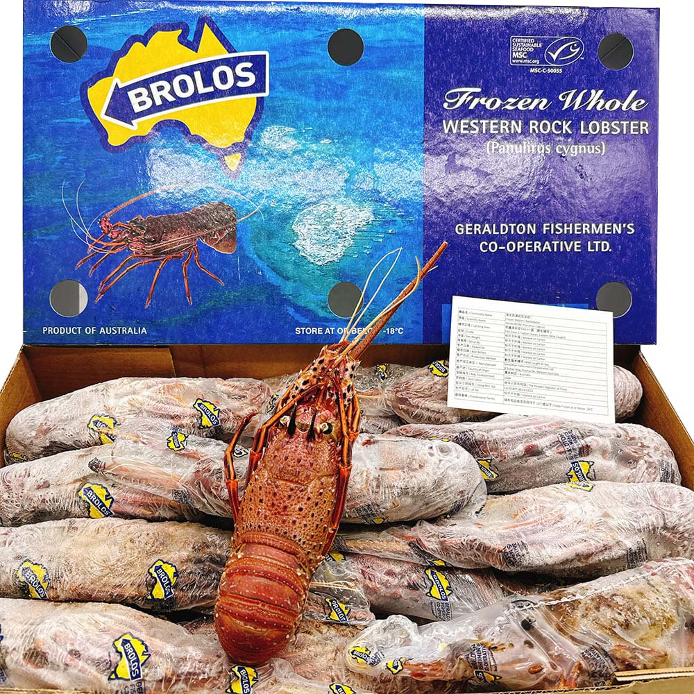 Lobster Rock Lobster Whole