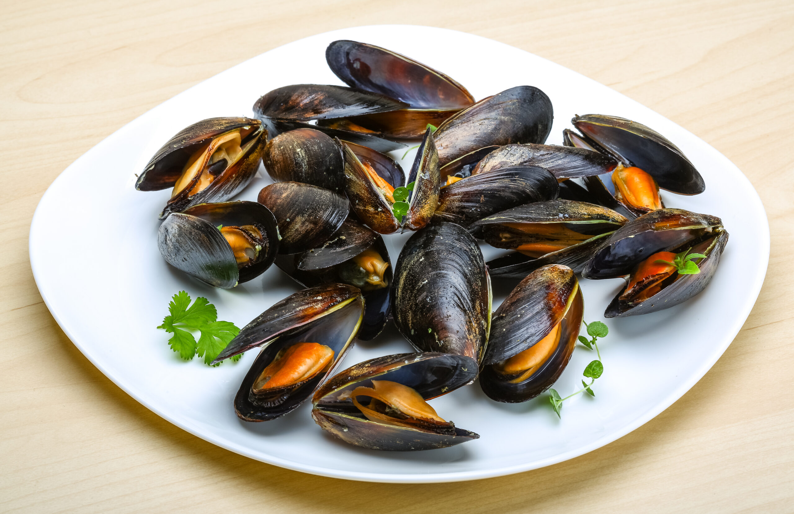 Mussel Whole Shell Fresh