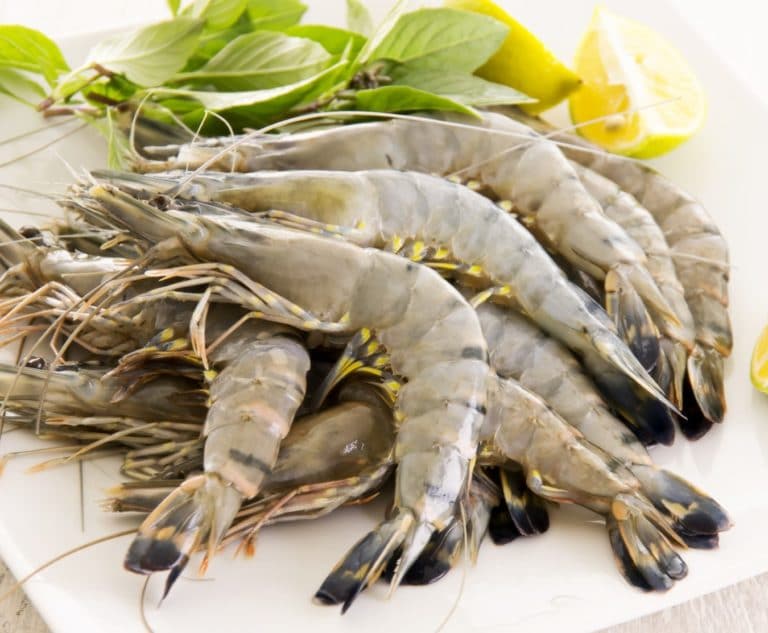 Prawns Whole Raw King U10