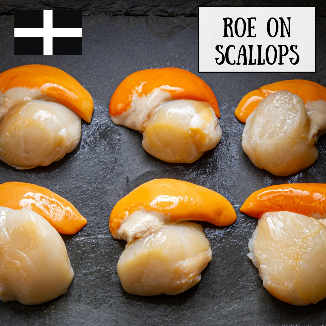 Scallops Roe On 60-80
