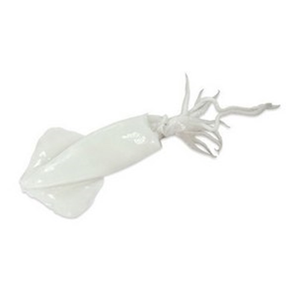 Squid Lolligo Whole Cleaned U10